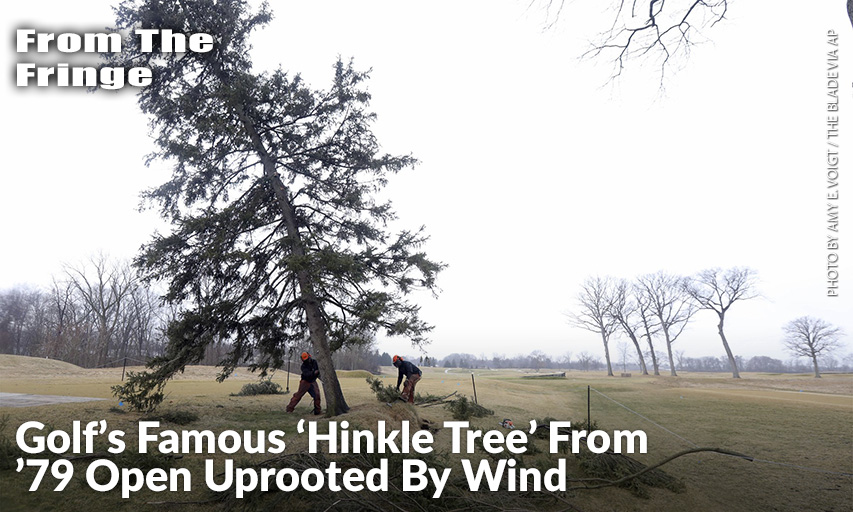 Hinkle Tree