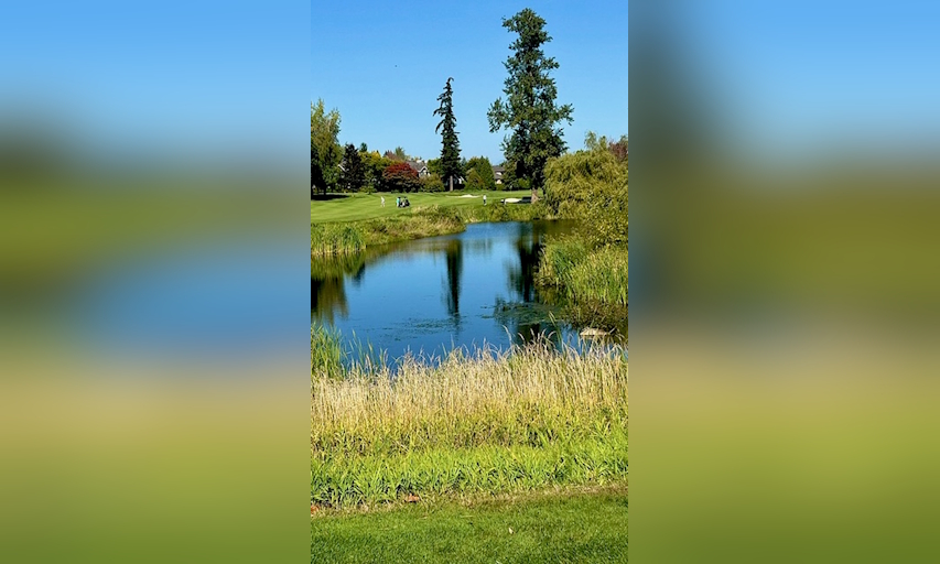 Morgan Creek Golf Course